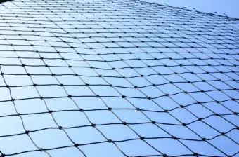 Safety net