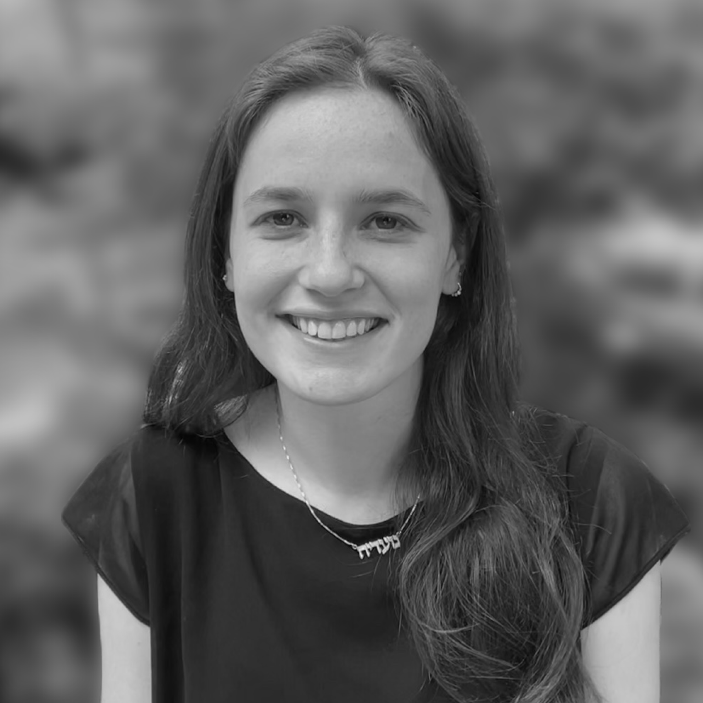 Noadia SteinmetzSilber The Hamilton Project