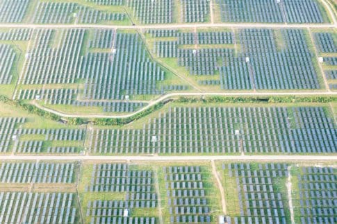 A field of solar panels