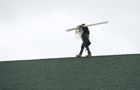 Work permit applications suggest prior immigration is still pushing up labor supply—for now